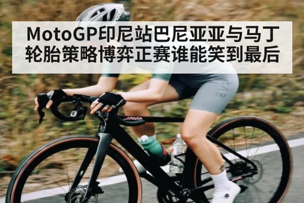 MotoGP印尼站巴尼亚亚与马丁轮胎策略博弈正赛谁能笑到最后 - www.c7c7.app